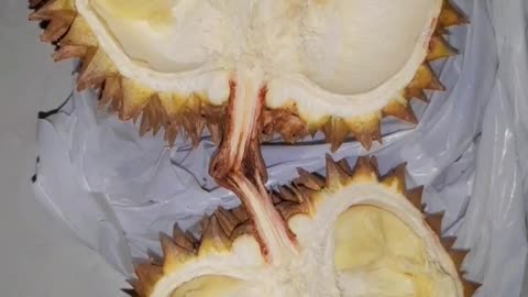 Delicious durian fruit