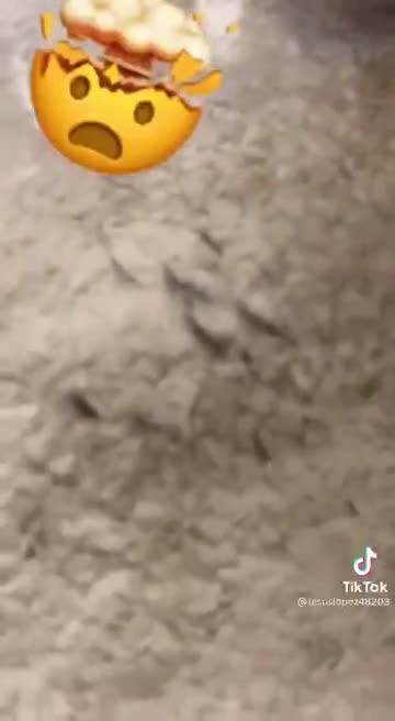 using a neodymium magnet (powerful little) to find graphene hidden in your food