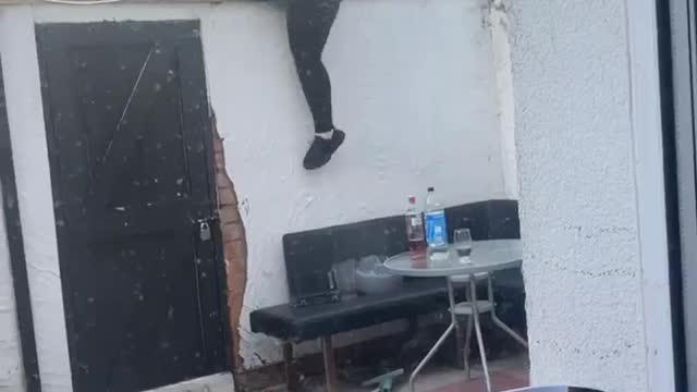 Wall Climbing Fail