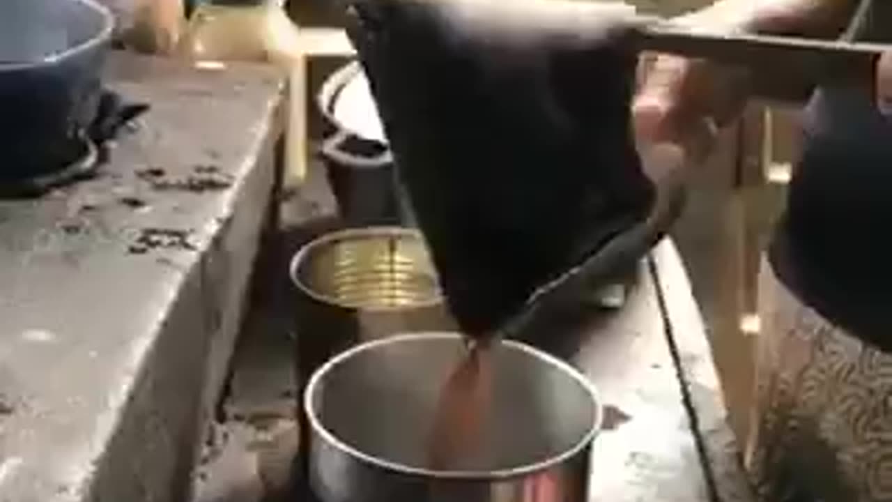 Buenos Dias 01