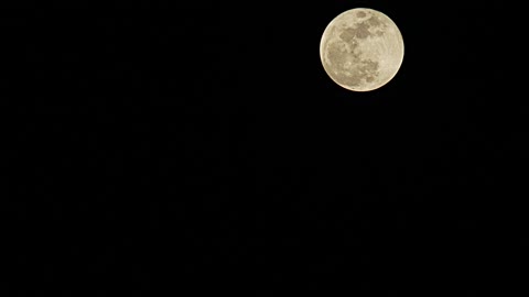Full moon rising in the dark sky