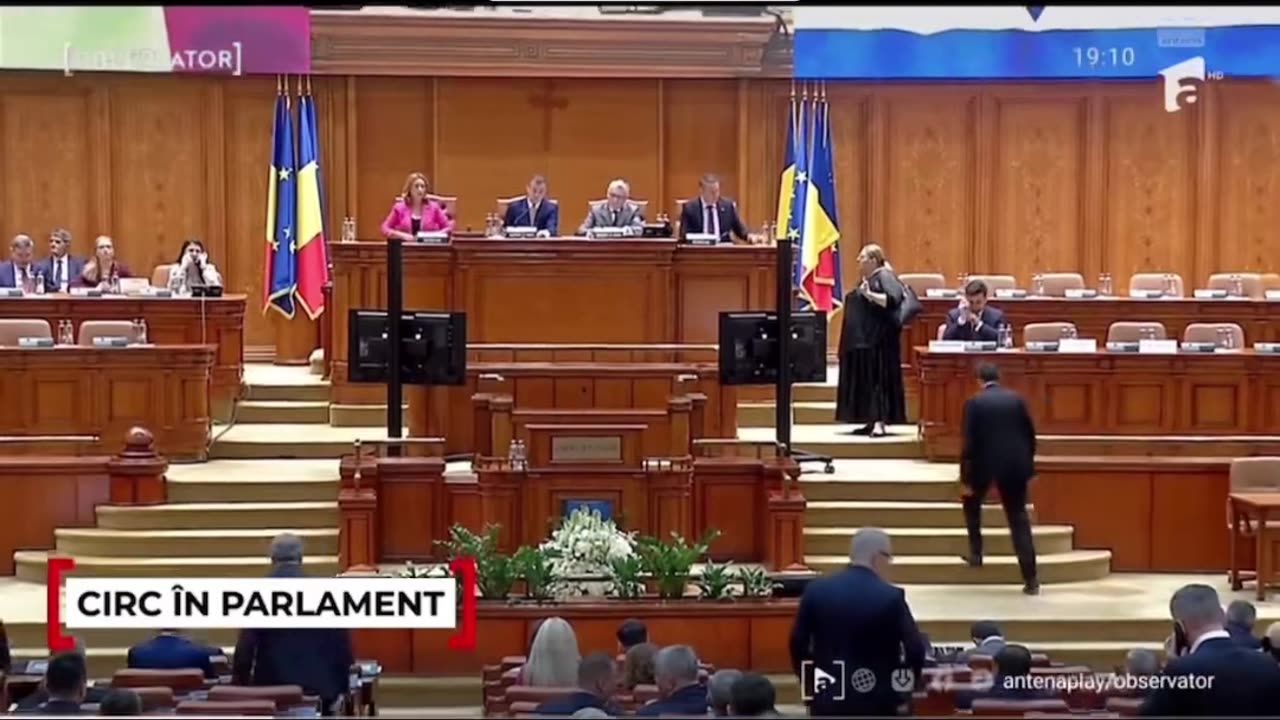 Diana Șoşoacă antisemitism in Parlament