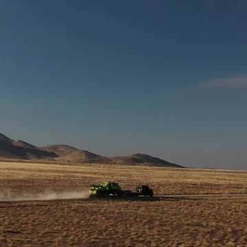 Where are we going green turtle?