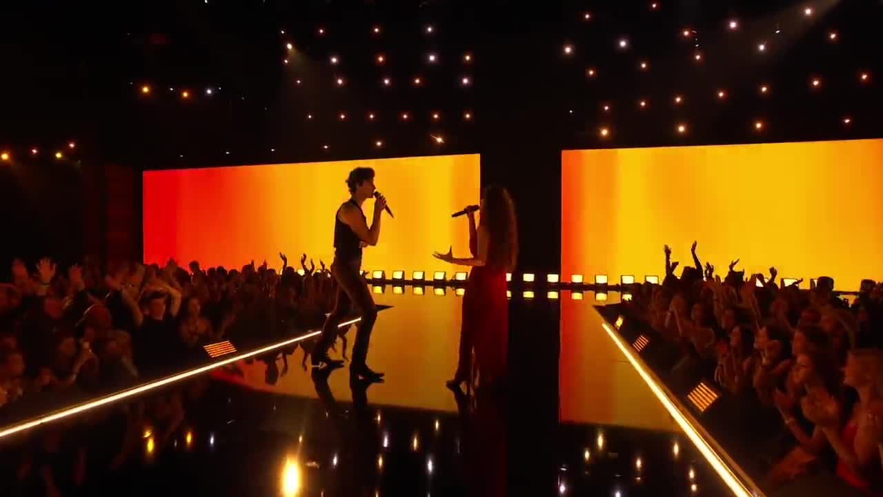 Shawn Mendes, Camila Cabello - Señorita (Live From The AMAs / 2019)