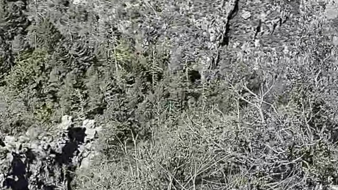 Riding Up The Guadalupe Mountains