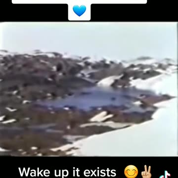 Admiral Richard Byrd about the land behind the icewall