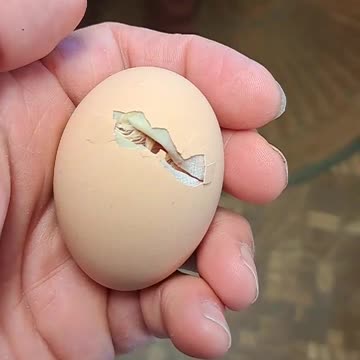 ALL things were created by Him and for Him. Col 1:16b July 26, 2023 Homer,AK