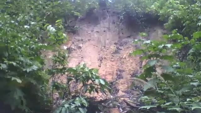 Filmando um barranco no parque na floresta, parece que houve um deslizamento [Nature & Animals]