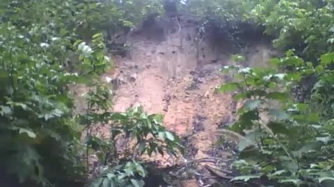 Filmando um barranco no parque na floresta, parece que houve um deslizamento [Nature & Animals]