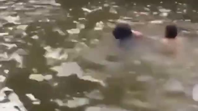 Dog saves his owner from drowning in sea very emotional video