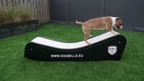 Dogmills Curve