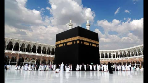 Hajj Initiation of action against companies involved in illegal booking of