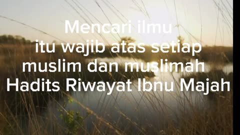 #Inspirasi Quotes Islami untuk Meningkatkan kualitas hidup#