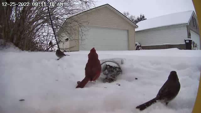 Snowed all night, covered the jar