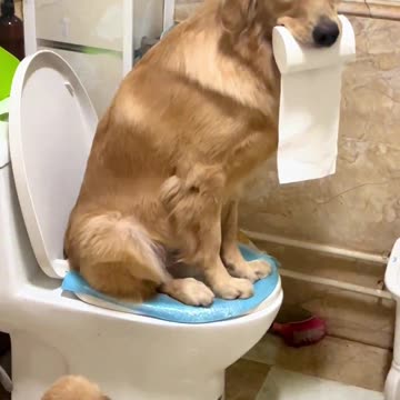 Don,t disturb 😂 funny shorts