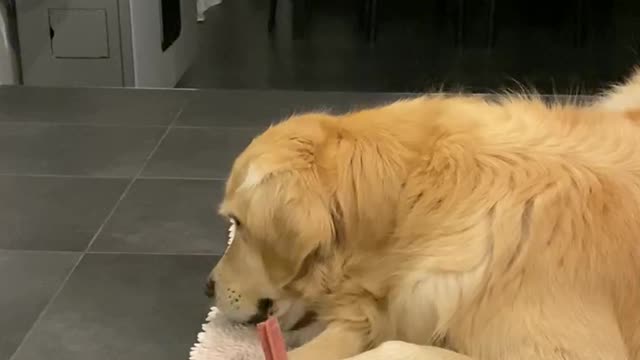 Maya stick