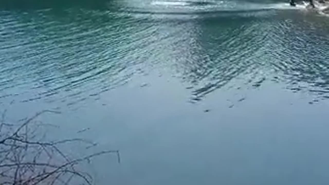 HUNT OF FISH in tarbela Pakistan