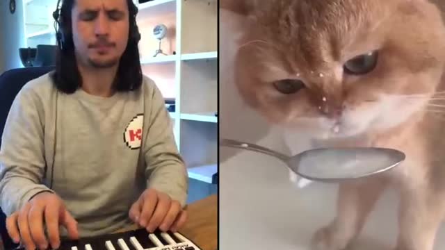 The Kiffness X NumNum Cat (Live Looping Balkan Remix)