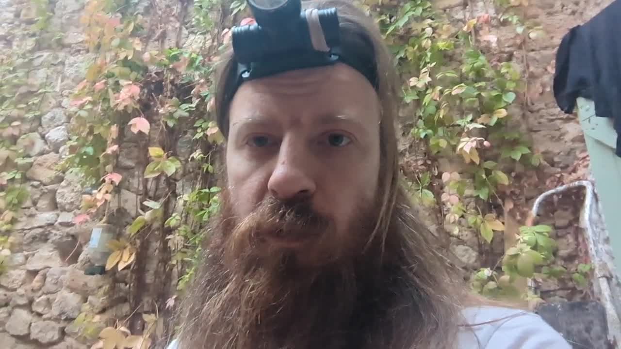 2022-11-02 (3) - On promène Maya et on voit - Twitch Decheterie