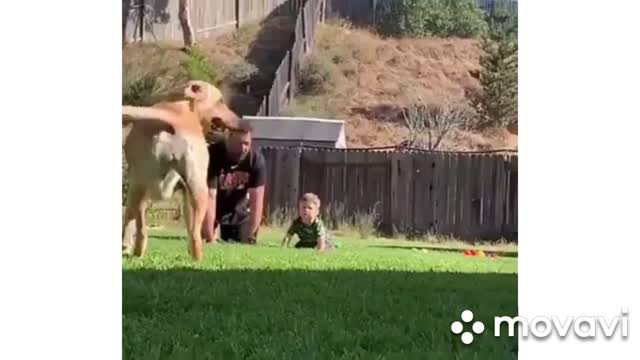 Приколы2021Смотреть всем )))