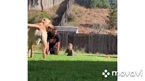 Приколы2021Смотреть всем )))