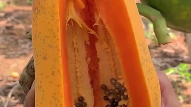 What called this fruit in your country