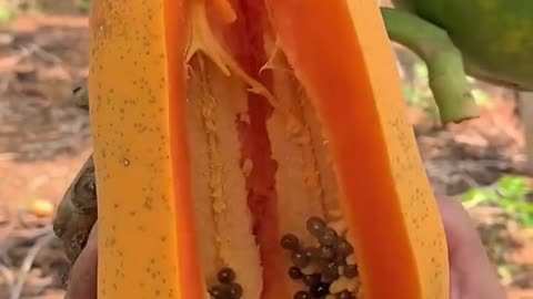 What called this fruit in your country