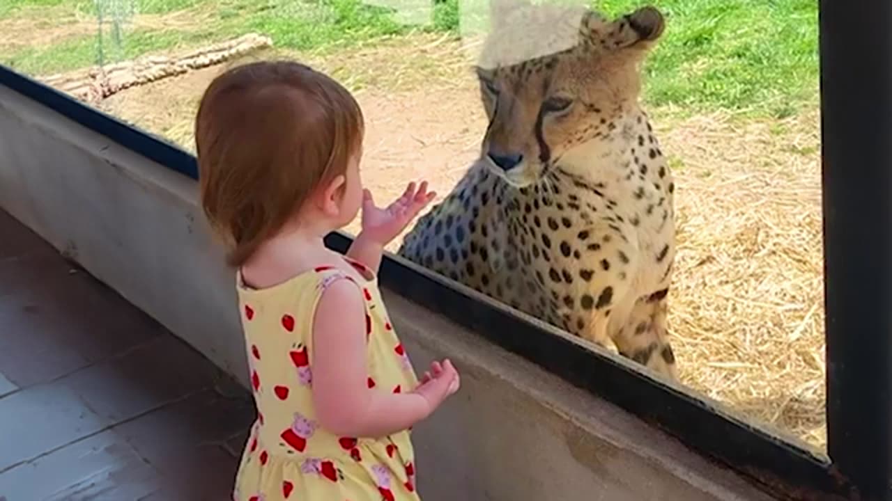 Little Friends Have Up Close Encounter With Animals At The Zoo