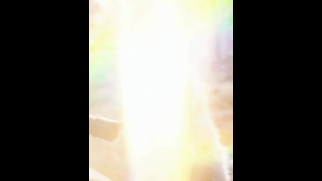 funny cat video