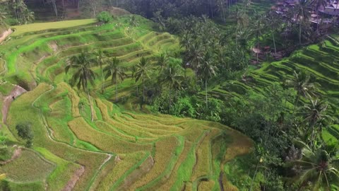 Agricolture in mountain