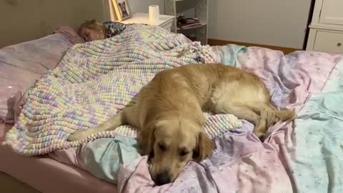 Golden Retriever Never Leaves Her Side! He Guards Sleeping Baby! (Cutest Ever!!)