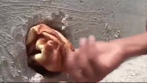 boy who delivers bread to Gazans through a small hole in the border wall between Egypt and the Gaza