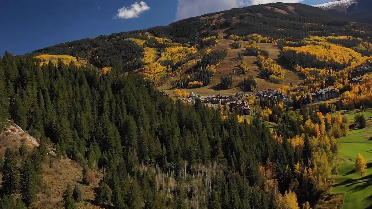 Elk View | Beaver Creek | Colorado