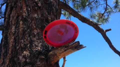 Area 51 Disc Golf Promo