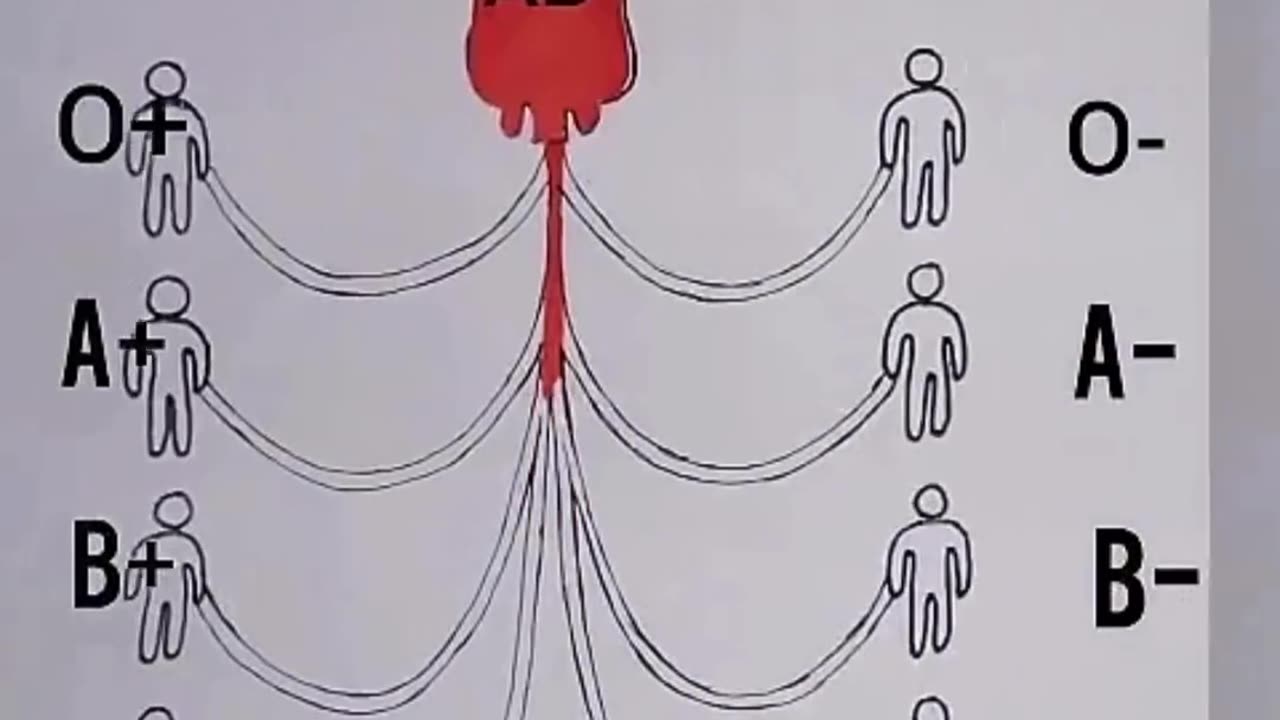BLOODTYPES, DID YOU KNOW ? What kind of blood are you 🩸 ??