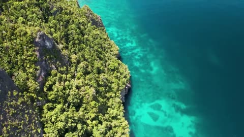 BOAT LIFE: Surviving From The Ocean In Remote Indonesia