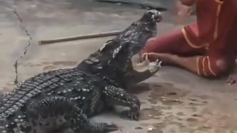 This is a beautiful and charming water-dwelling species