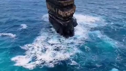 Nature is amazing