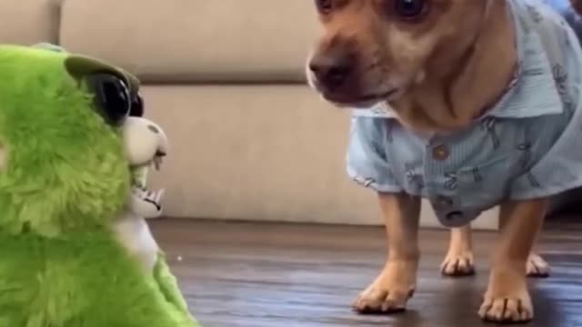 📹 Funniest Animals - Best Of The 2021 Funny Animal Videos