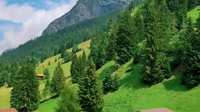 The scenery