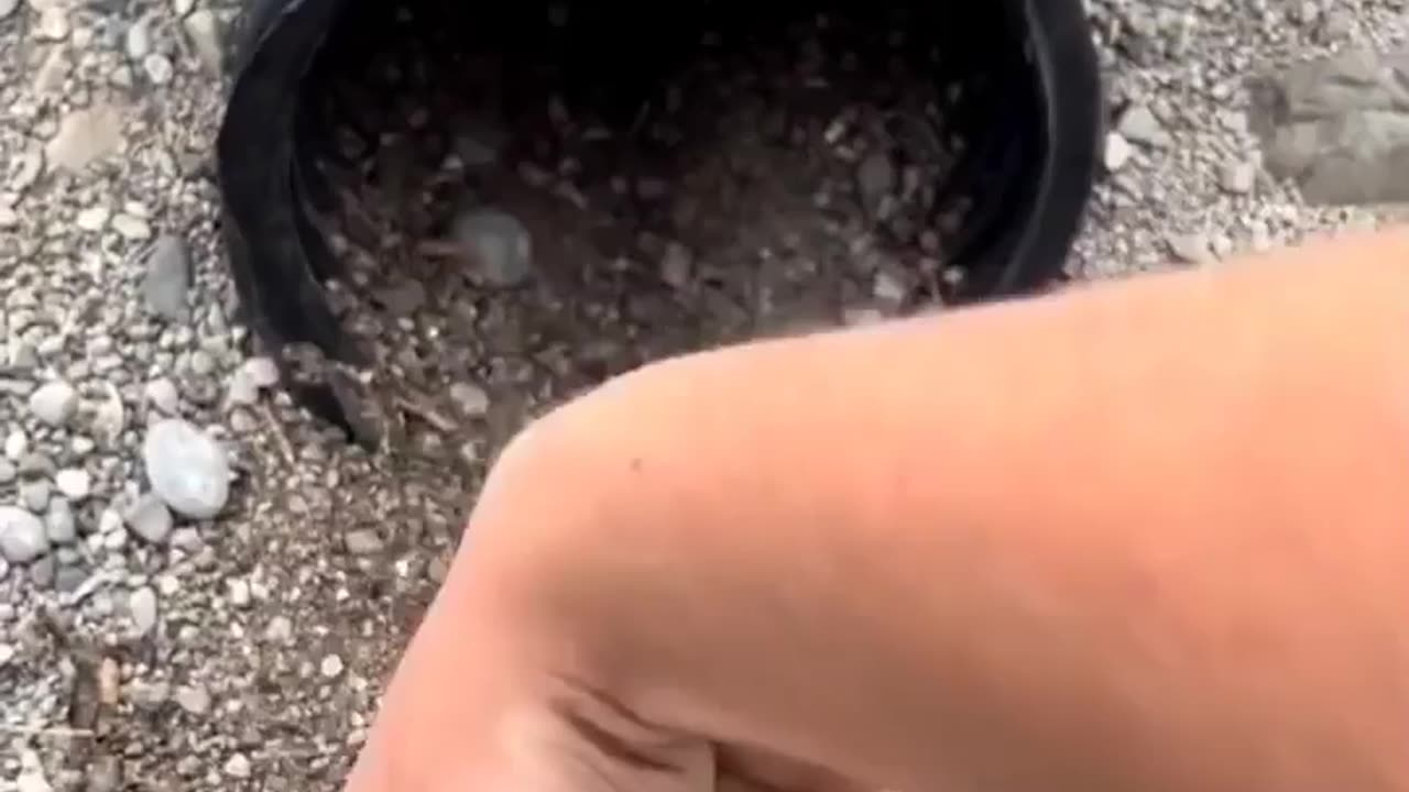 Funny Video 2023 || New Funny Video Animal Funny Video
