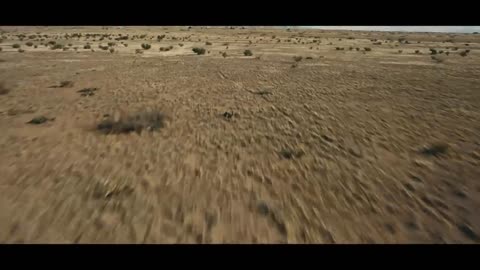 Oppenheimer | New Trailer