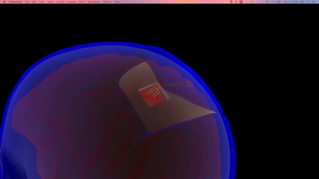 Brain Neural Interfaces