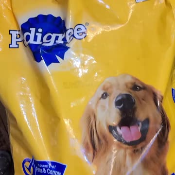 Shout Out To Nachita19 | Part 1 | September 21st 2023 | #shorts