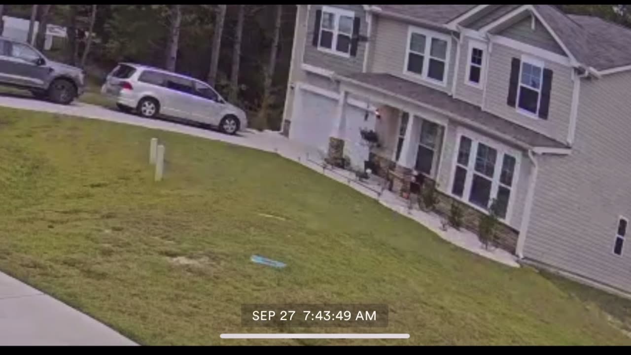 Turkeys Can Fly!