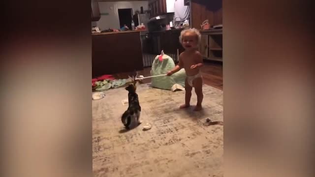 Baby and pet play together