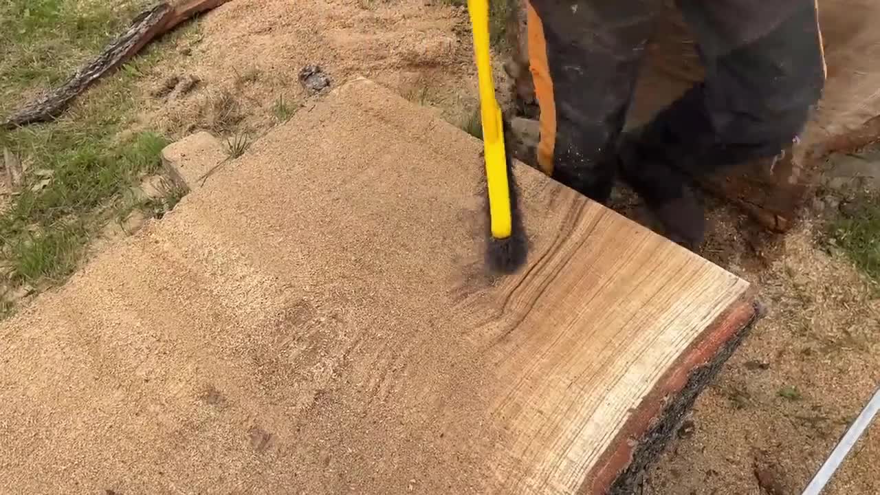 Cut huge oak logs