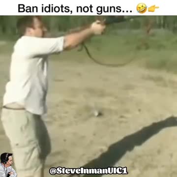 Ban idiots. Not guns.
