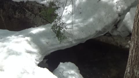 Ice Bridge