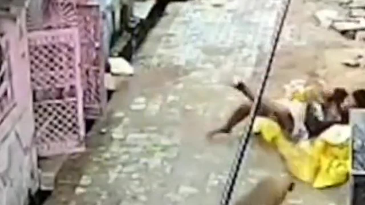 Funny monkey 🐒 kicked boy